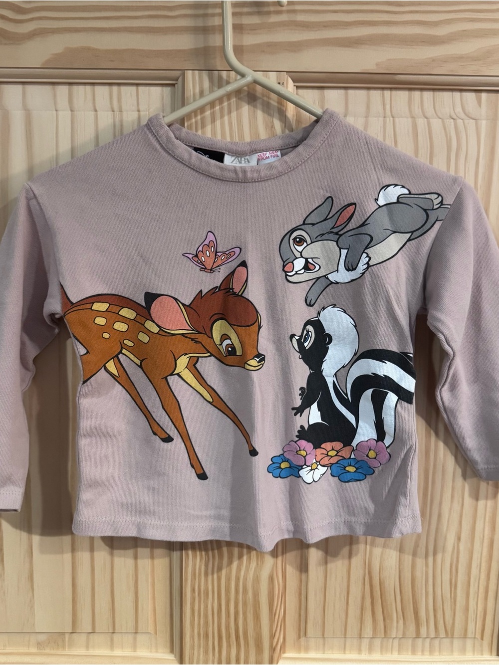 Disney Zara Bambi & Friends Long-Sleeve Tee - Boxy XS 4/5